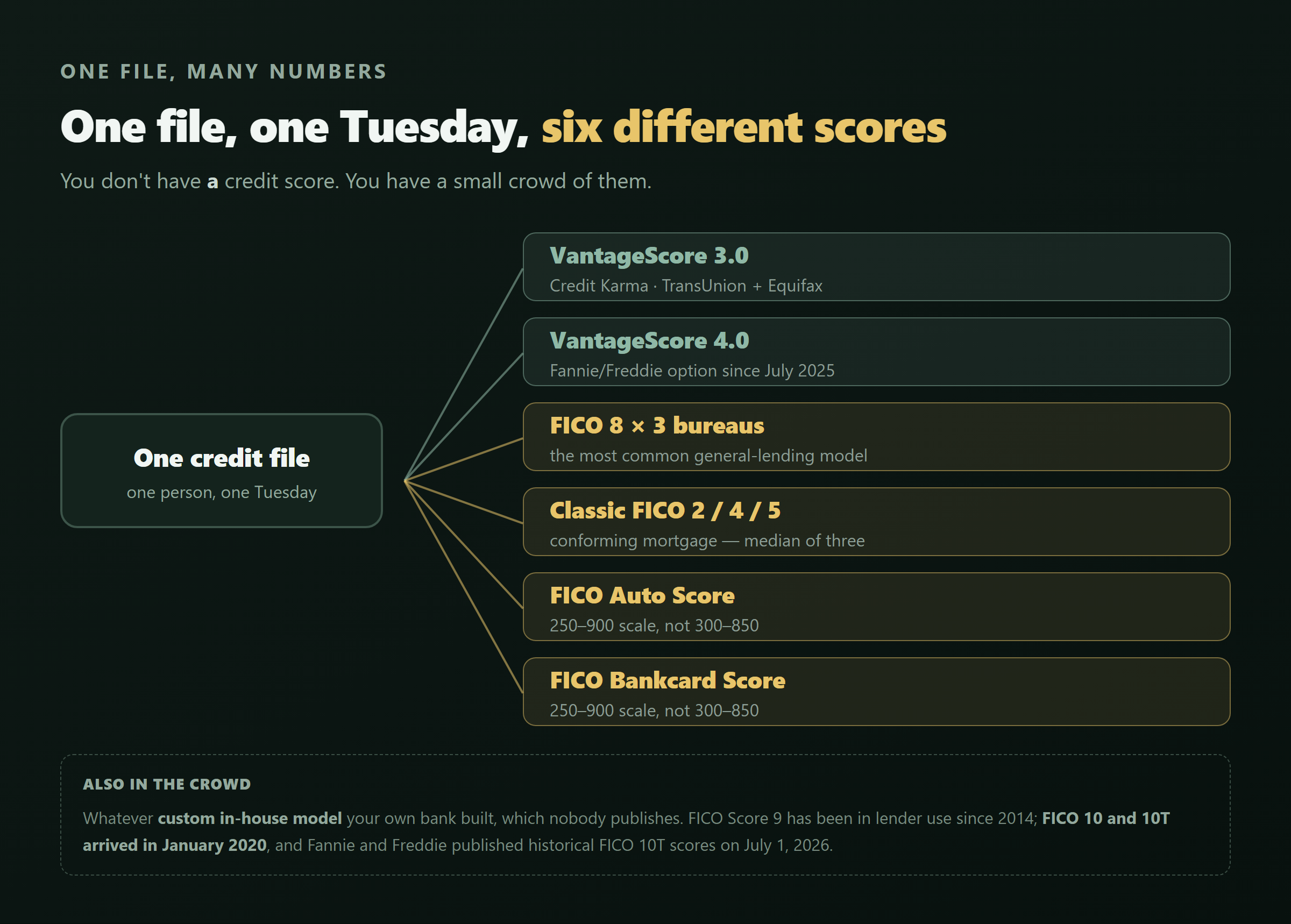 Diagram showing one person's credit file feeding into six different credit scores on the same day, including VantageScore 3.0, VantageScore 4.0, FICO 8, FICO 2/4/5, FICO Auto and FICO Bankcard