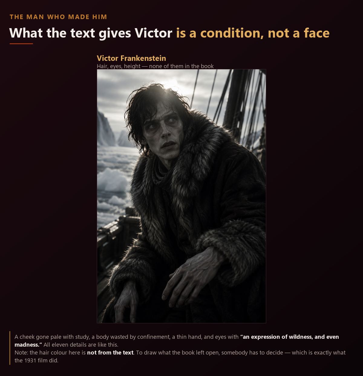 Portrait of Victor Frankenstein. The novel gives no hair colour, eye colour or height, so this shows a condition rather than a face: wrapped in furs on an Arctic ship, cheeks pale from study, body wasted by confinement, the eyes wild