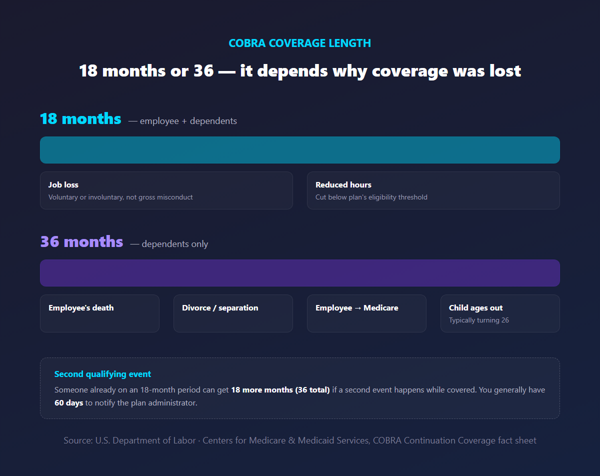 Timeline graphic showing COBRA's 18-month coverage for job loss or reduced hours versus 36-month coverage for dependents after death, divorce, Medicare eligibility, or aging out