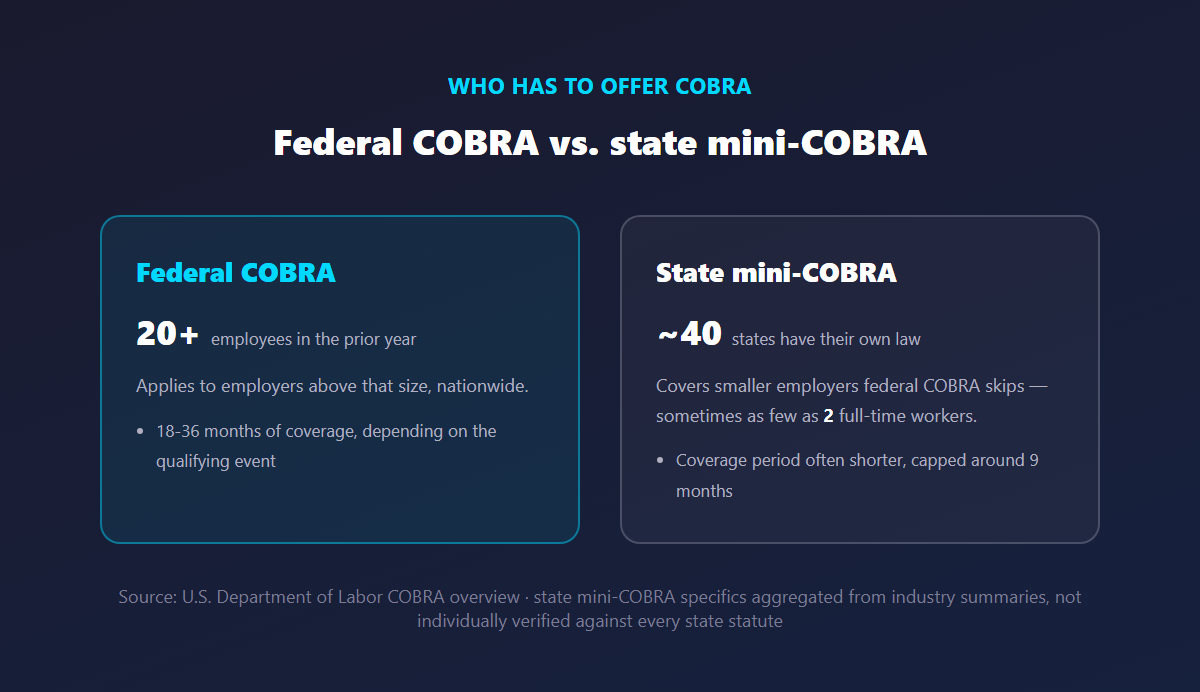 Infographic comparing federal COBRA, which applies to employers with 20 or more employees, against state mini-COBRA laws covering smaller employers